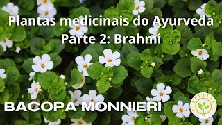 Indicações da Bacopa Monnieri Brahmi  Ayurveda [upl. by Nosnibor]