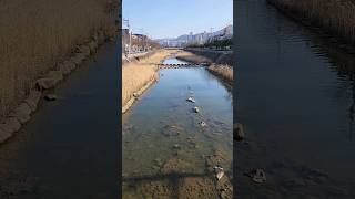 Gohyeon River  Geoje  Adventures in South Korea [upl. by Giles791]