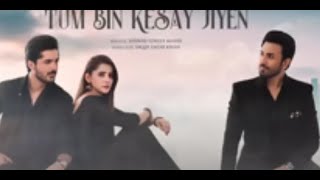 Tum Bin Kesay JiyenEpisode 39PromoARY Digital DramaEnglish Subtitles5 April 2024Hammad Shoiab [upl. by Donough]