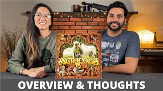 Agricola 15th Anniversary Big Box  Overview amp Thoughts [upl. by Hamal973]