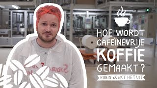 Decafé gemaakt van bonen mét cafeïne  Robin Zoekt Het Uit 37 [upl. by Oirrad709]