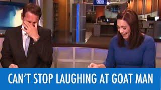 News Anchors Cant Stop Laughing At Goat Man [upl. by Manolo]