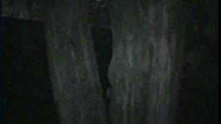 Real ALIEN  Olinda  Brazil  28072010 [upl. by Lachus]