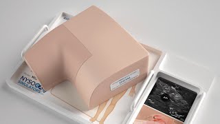 AXILLARY BRACHIAL PLEXUS NERVE BLOCK ULTRASOUND SIMULATOR [upl. by Sothena145]