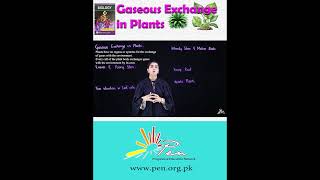 Gaseous Exchange in Plants I [upl. by Tsai790]