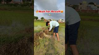 Wait for result😍🔥  photography videography farming shortvideos viralvideos shorts [upl. by Keeryt760]