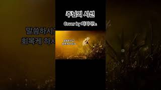 CCM 커버 주님의 시선  차피아노 [upl. by Fredia]