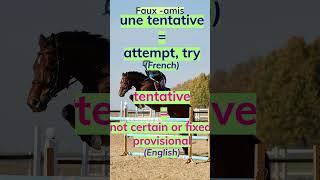 Let us learn French false cognates fauxamis apprendrelefrançais dictionnaire education [upl. by Nwahs]