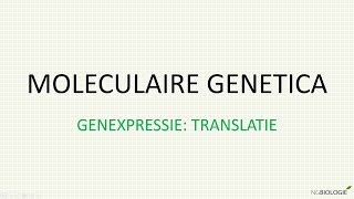 Moleculaire genetica  Genexpressie translatie [upl. by Iarised]