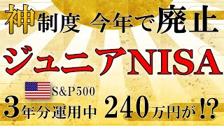 【神制度】今年限りの大チャンス！絶対やるべき理由と240万円のリアル運用成績を公開！ [upl. by Ocirled]