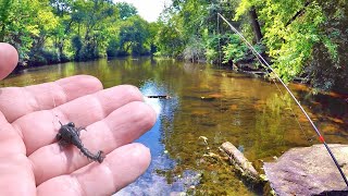 How To Catch Dinner From A Creek Easy To Catch Panfish [upl. by Evette]