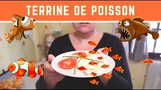 La TERRINE de POISSON avec le THERMOMIX [upl. by Armil873]