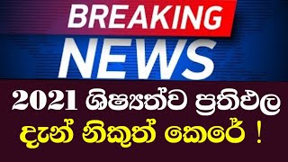 2021 ශිෂ්‍යත්ව ප්‍රතිඵල දැන් නිකුත් කෙරේ  Grade 5 Scholarship Exam Result Release just now [upl. by Coretta]