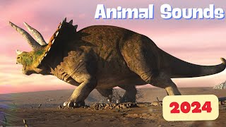 Dinosaur Sounds and Names for Children 20 Amazing Animals 2024 Edition [upl. by Leander]