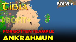 NA PROFIT  Tibia  Forbidden Temple  Cult Cave Ankrahmun  Forbidden Sanctuary [upl. by Ddart]