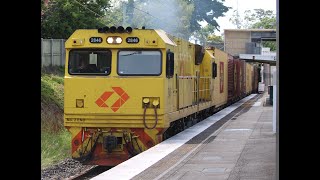 PN and Aurizon container trains on Pinkenba line Clayfield [upl. by Cutcheon821]