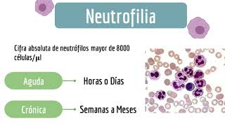 Neutrofilia y Leucemia Mieloide Crónica [upl. by Binetta]