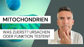 Mitochondrien  Was zuerst Ursachen oder Funktion testen [upl. by Akeret]