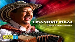 El Guayabo De La Ye  Lisandro Meza  Discos Fuentes  Audio [upl. by Worthington654]