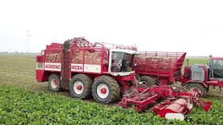 12 row Sugarbeet Harvesting 4K The Netherlands  AGRIFAC HEXA [upl. by Aleksandr]