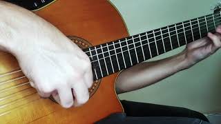 First Circle  Pat Metheny Solo Guitar Part [upl. by Ynnam]