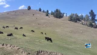 astore valley hidden paradise on earth [upl. by Esinyl]