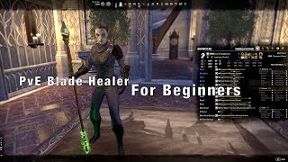 ESO Nightblade Healer PvE Build for Beginners QuickGuide [upl. by Atteroc]