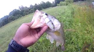 Amazing Pond Fishing Part 3  Jointed Glide Bait [upl. by Koby]