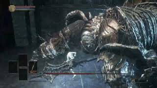 Vordt of the Boreal Valley  NoHitRollBlockParry  SL1 3 Broadsword [upl. by Narcis]