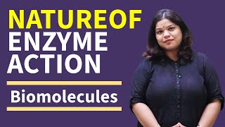 Nature of Enzyme Action Class 11 Biology  Biomolecules [upl. by Ramon]