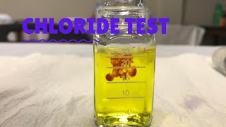 Chloride Test [upl. by Ahsanat381]