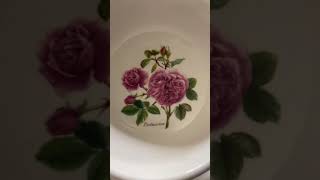 Portmeirion Botanic Roses 12 Piece Dinnerware Set Review Simply stunning [upl. by Eilema]