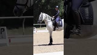 Amelia and Caine Sit the Trot equestrian horse dressage [upl. by Tamer]