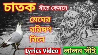 চাতক বাঁচে কেমনে মেঘের বরিষণ বিনে। Lyrics Video লালন সাঁই। Chatok bache kemone  Lalon shah [upl. by Ravid]