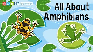 All About Amphibians [upl. by Griggs366]