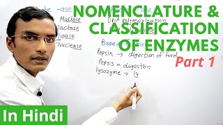 Nomenclature and Classification of Enzymes in Hindi  Part 1 [upl. by Henri]