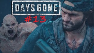 Days Gone  13  Aventura completa [upl. by Curren]