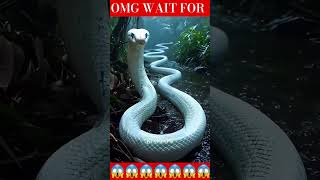 big 😱😱😱 anaconda caught in camera l shortvideo ytshorts ytstudiohighlights youtubeshorts sima [upl. by Renell995]