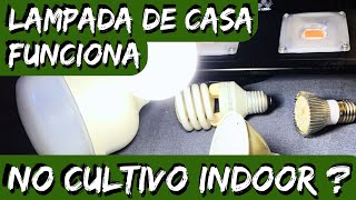 Lâmpada de LED comum de casa no cultivo indoor  Dá para começar  Vantagens e desvantagens Fácil [upl. by Arytal]