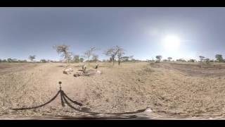 360 VR 4K Video of Sanctuary Swala Tarangire National Park [upl. by Dermot404]