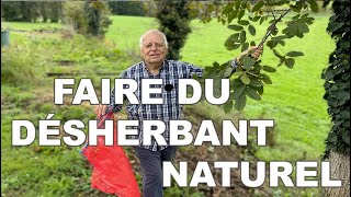 FABRIQUER son DESHERBANT  feuilles de noyer 🌱 100 ÉCOLOGIQUE [upl. by Oneill]