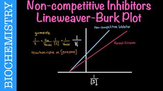 Noncompetitive Inhibitors LineweaverBurk Plot Part 3  Biochemistry [upl. by Selden]