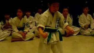 World Oyama KarateMatsumoto dojo MTW Demonstration [upl. by Nies]