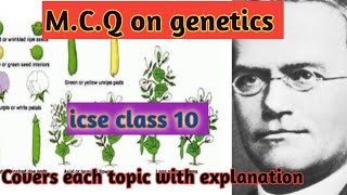 mcq on genetics class 10 icse ll mcq on Mendel law ll mcq on genetics chapter class 10 icse biology [upl. by Ariel]