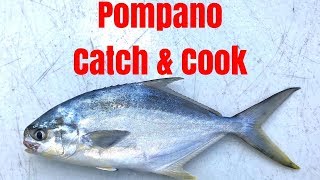 Pompano Catch amp Cook  The BEST Tasting Fish in the SURF [upl. by Karlens]