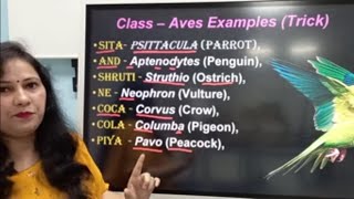 11 And NEET Class Aves with tricks to learn the examples [upl. by Timothy]