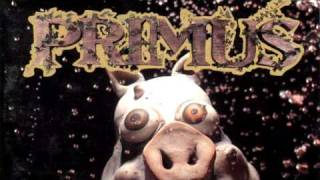 Primus  Ol Diamondback Sturgeon LYRICS [upl. by Zehcnas]