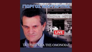 Ma Ti Leo Live [upl. by Dotti]