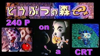 Dōbutsu no Mori e in 240p SVideo on a 36quot CRT Via Swiss [upl. by Nick294]