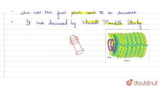 Given an example of a rodshaped virus [upl. by Maggee]